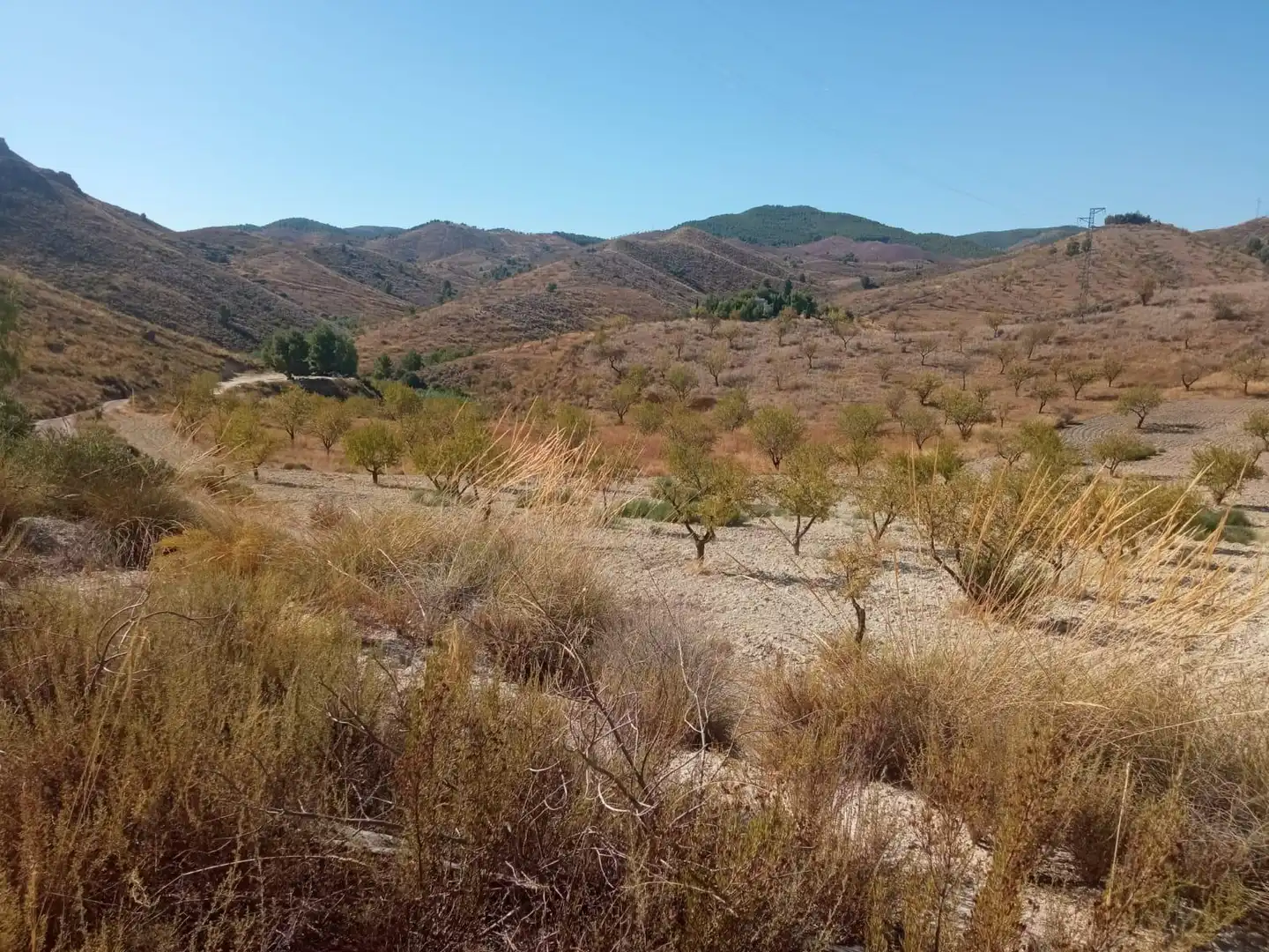 Terrains et parcelles à vendre à Pedanías Norte, imagen 33