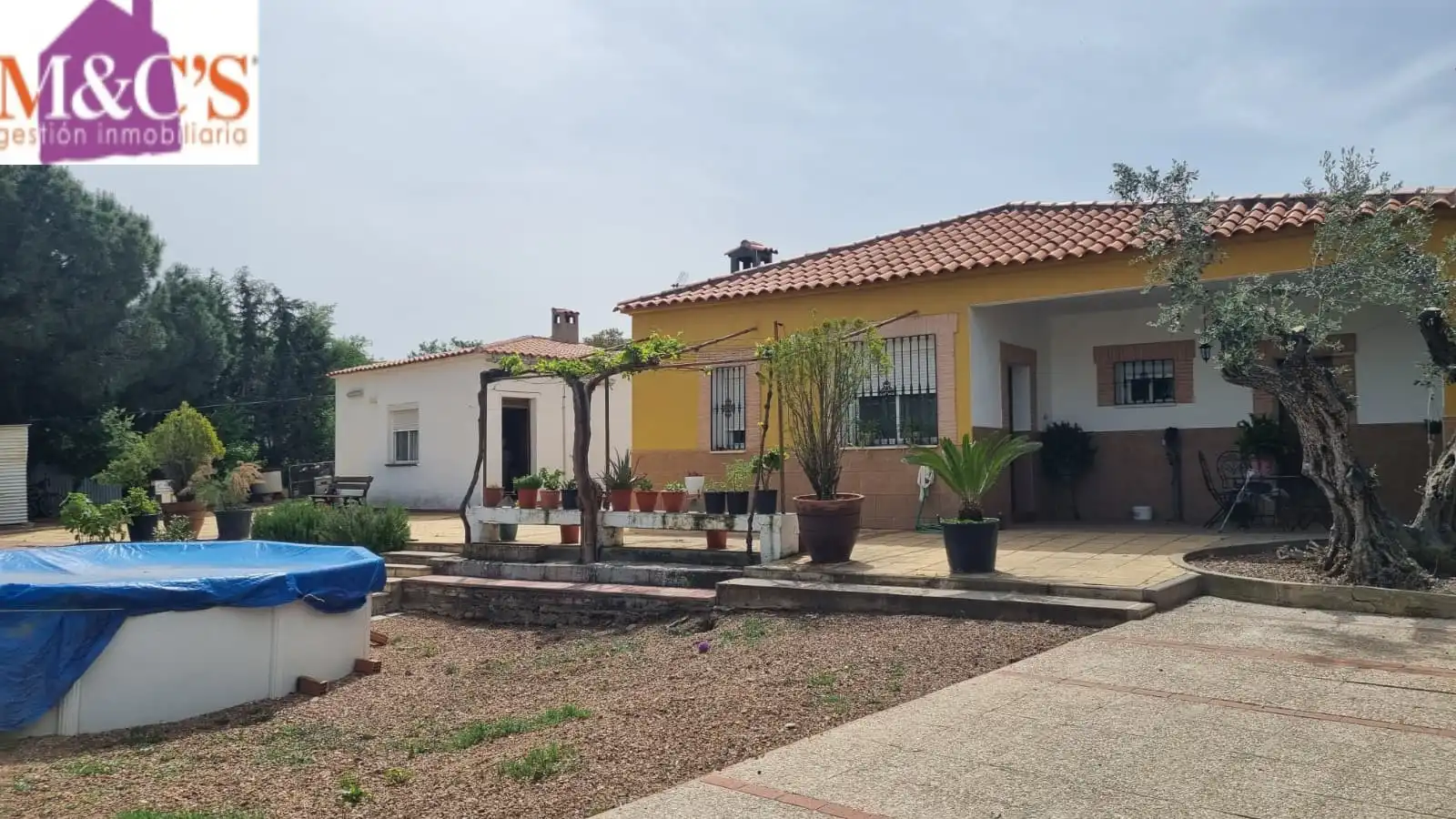 Chalet con piscina en venta en Almodóvar del Campo, imagen 5