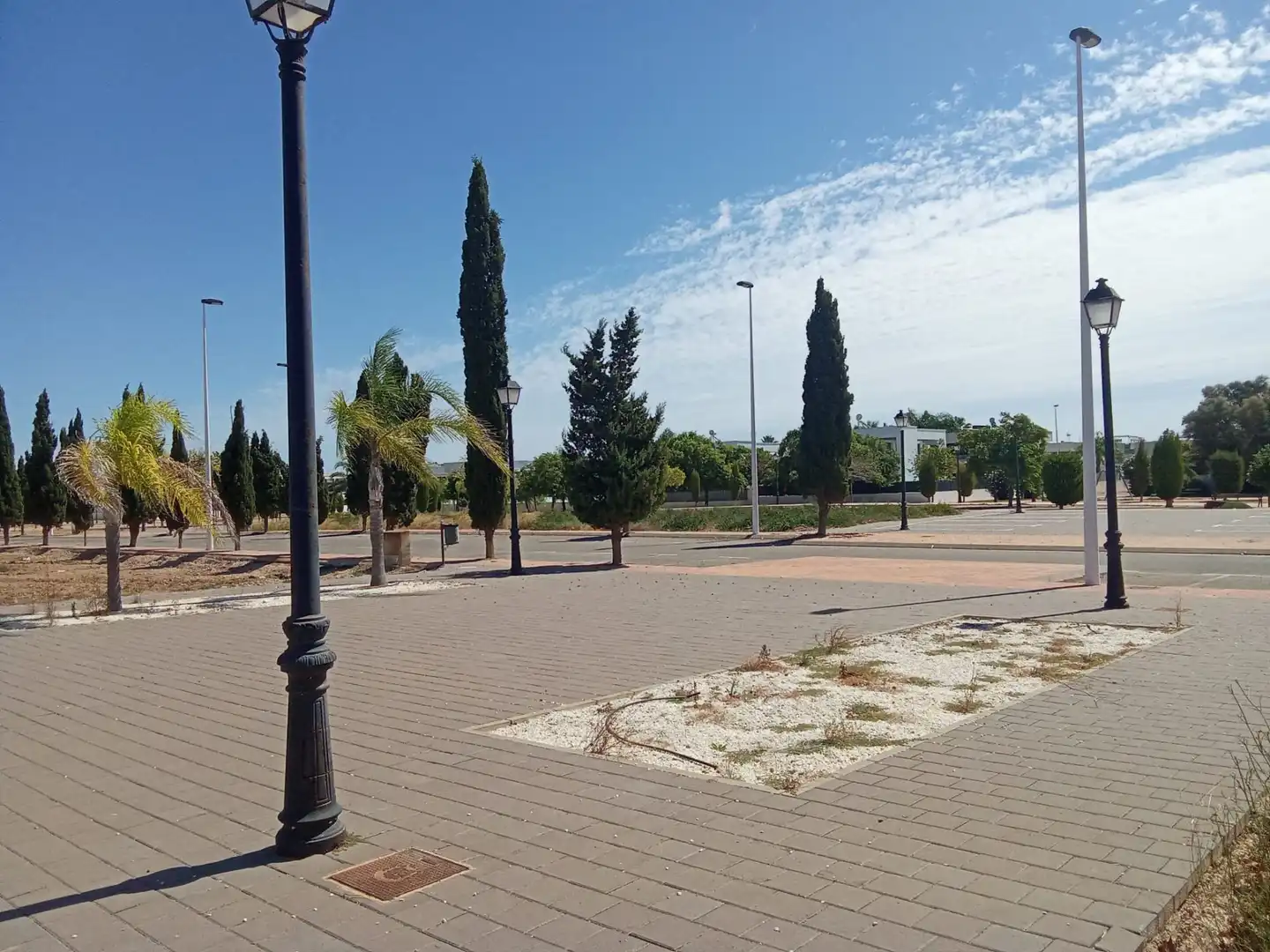 Terrenos y solares en venta en Lo Pagán, imagen 3