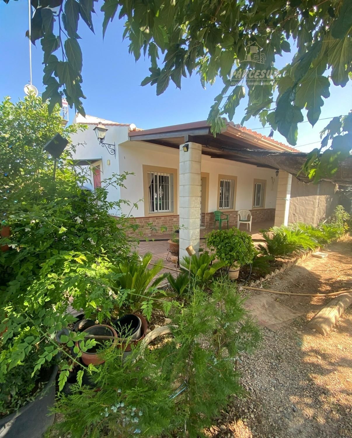 Vista exterior de Casa o chalet en venta en La Carlota con Trastero y Piscina