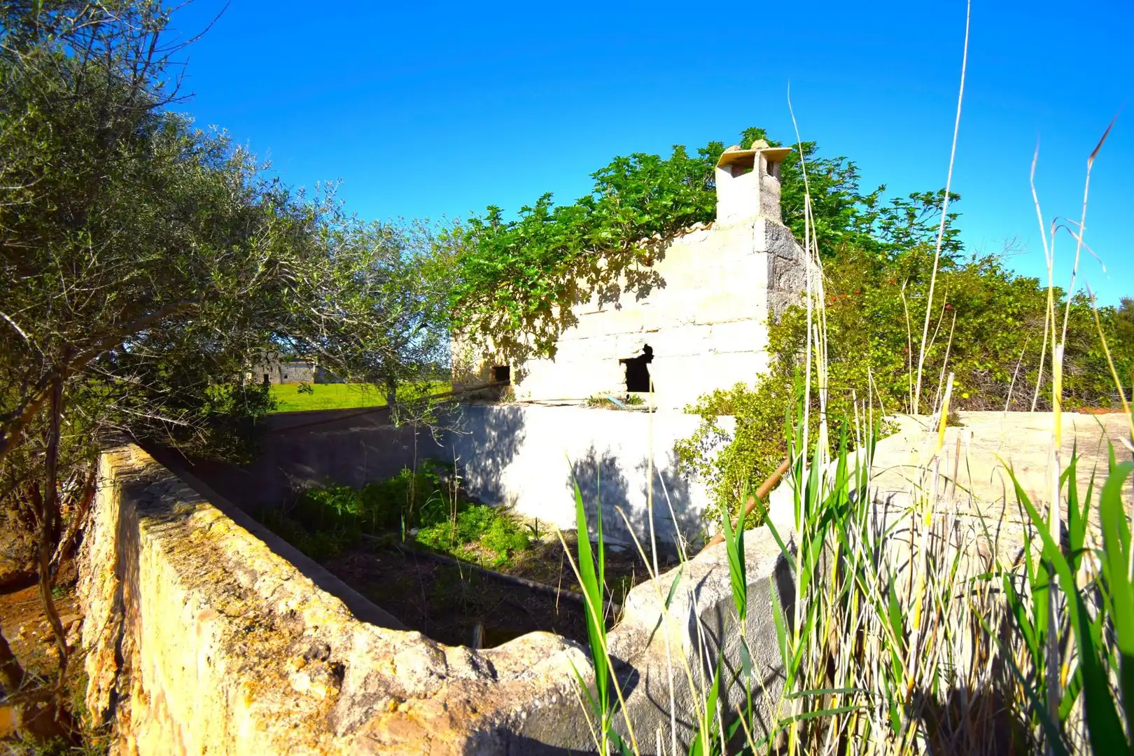 Casa rústica con piscina en venta en Muro, imagen 8