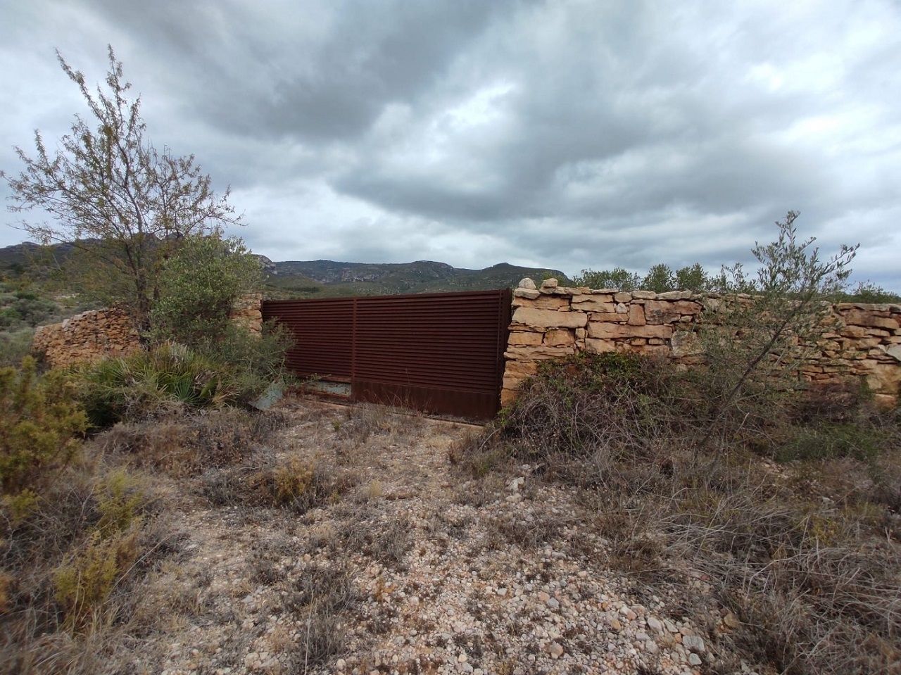 Land for sale in La Sénia