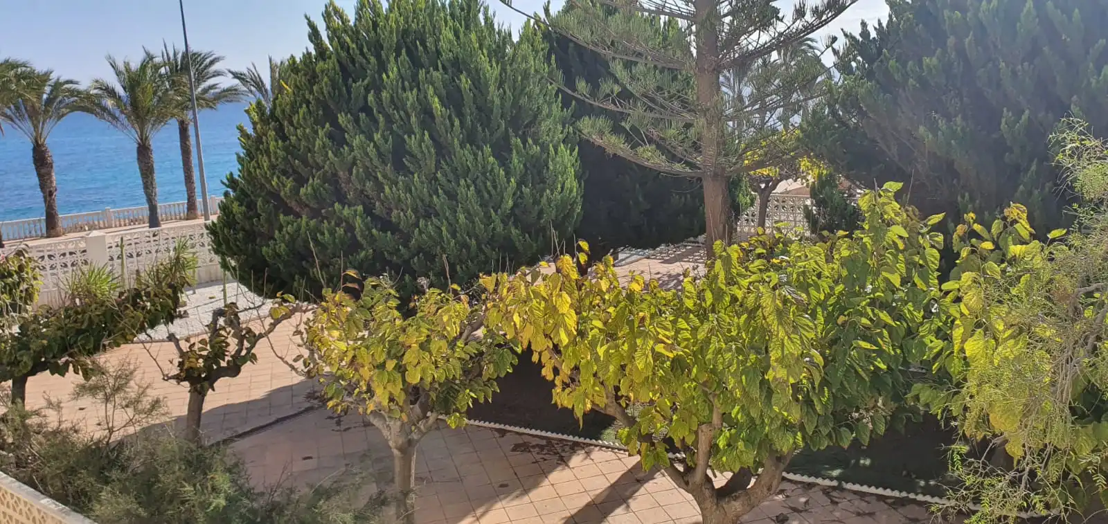 Jardín de Piso en venta en Pilar de la Horadada con Balcón y Alarma