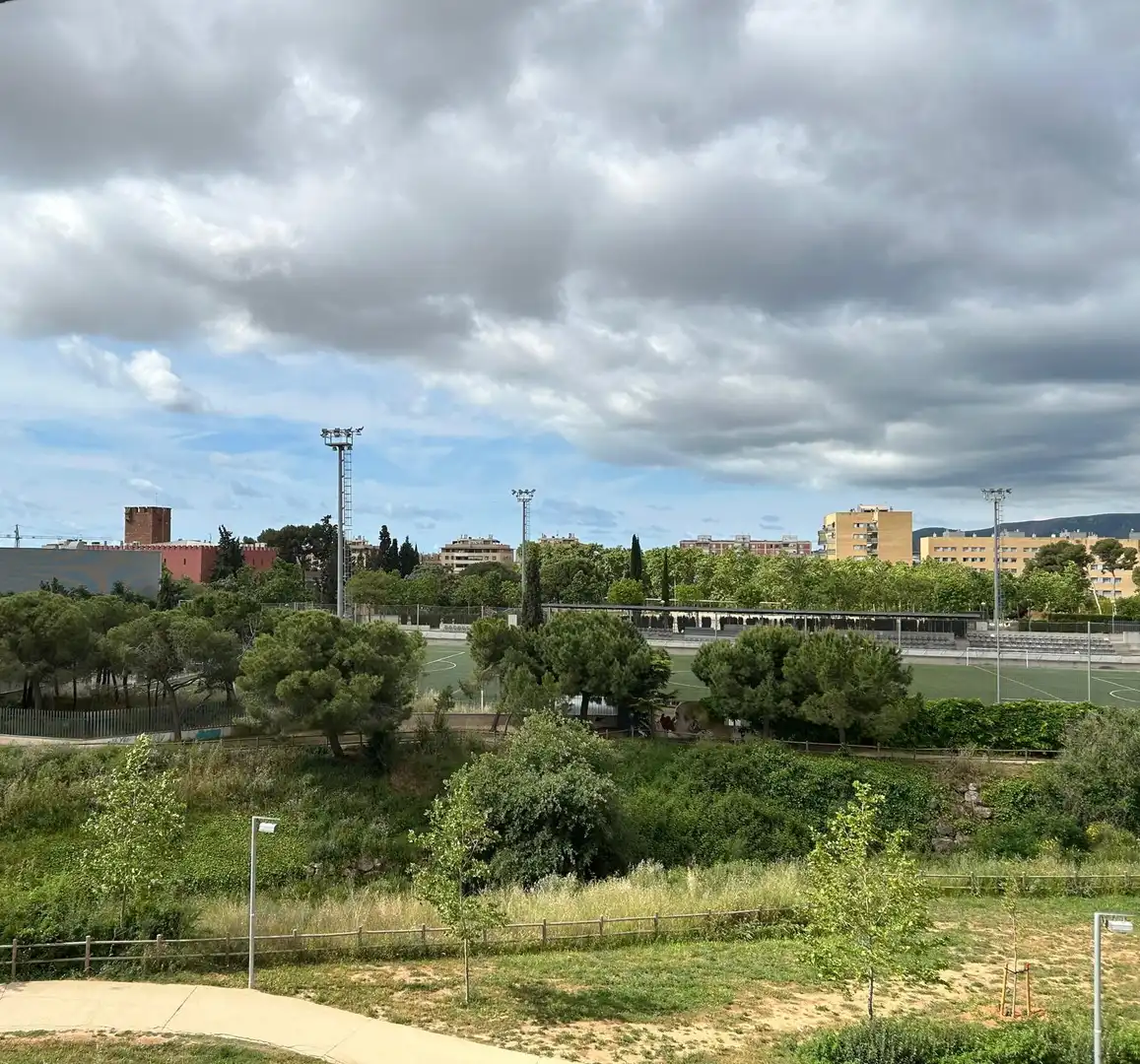 Piso en venta en Llevant