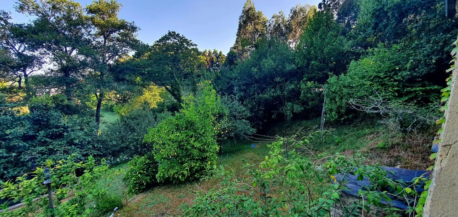 Casa o chalet en venta en Castropol con Calefacción, Jardín privado y Terraza