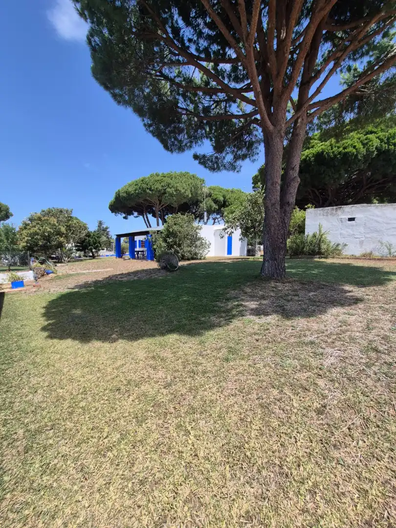 Chalet en venta en Los Franceses – La Vega, imagen 18