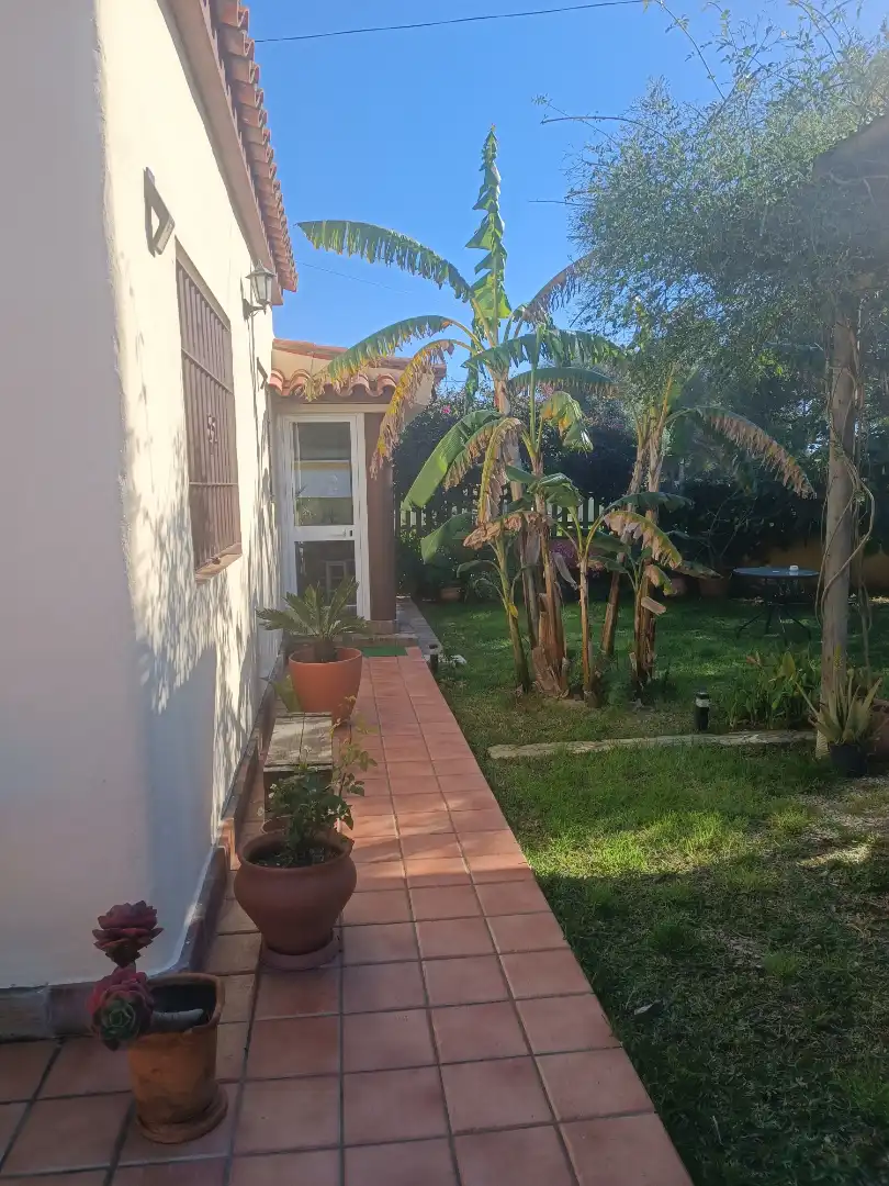 Casa rústica con jardín en venta en Zahora, imagen 4