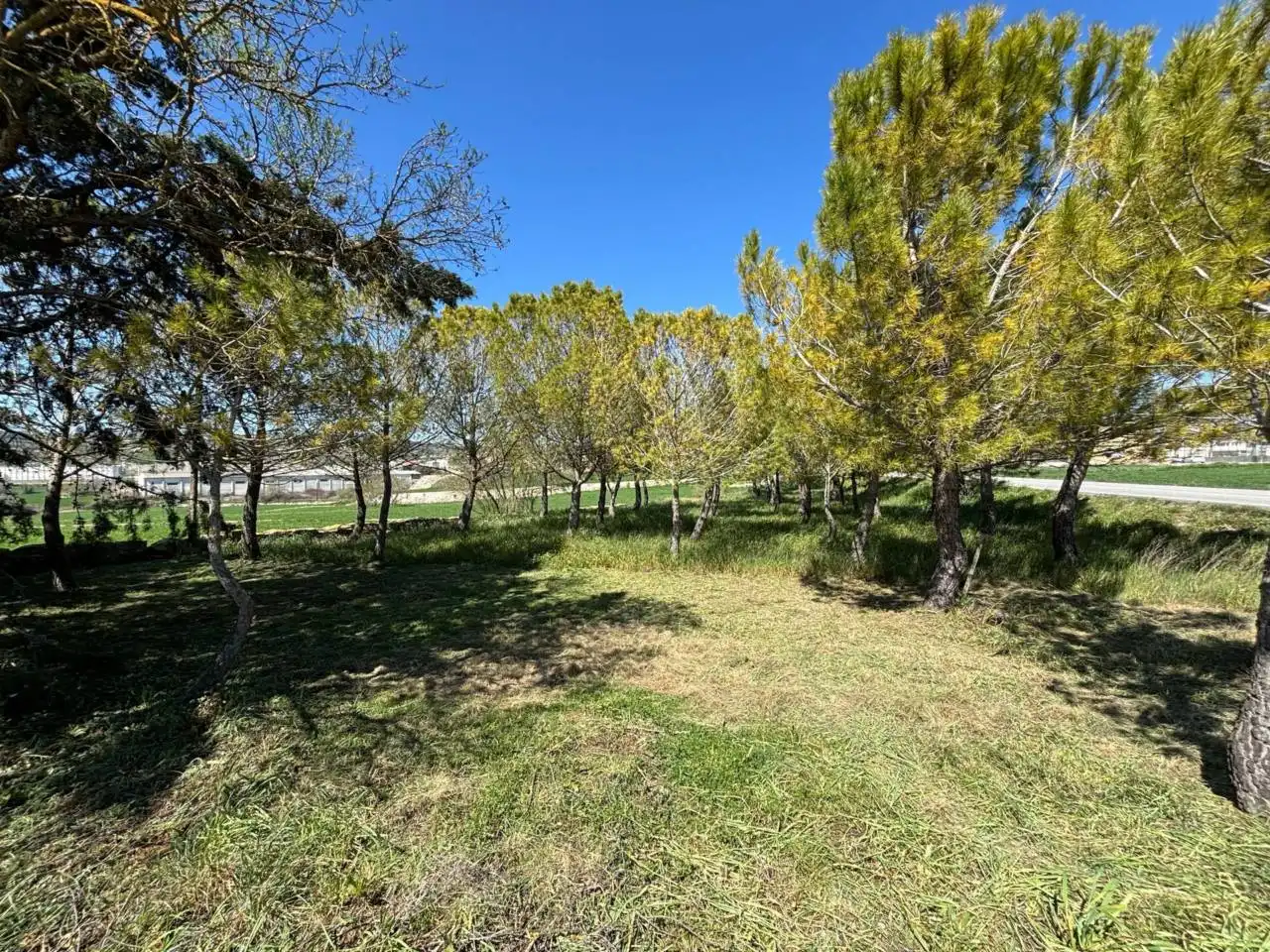 Casa o xalet en venda en Santa Coloma de Queralt amb Calefacció, Jardí privat i Terrassa