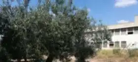 Terreno residencial en venta en Llombai, imagen 2