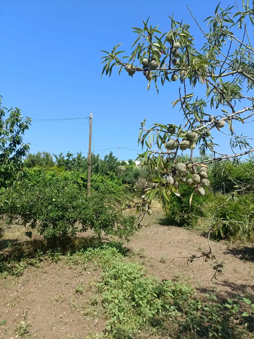 Terreno en venta en Jérica
