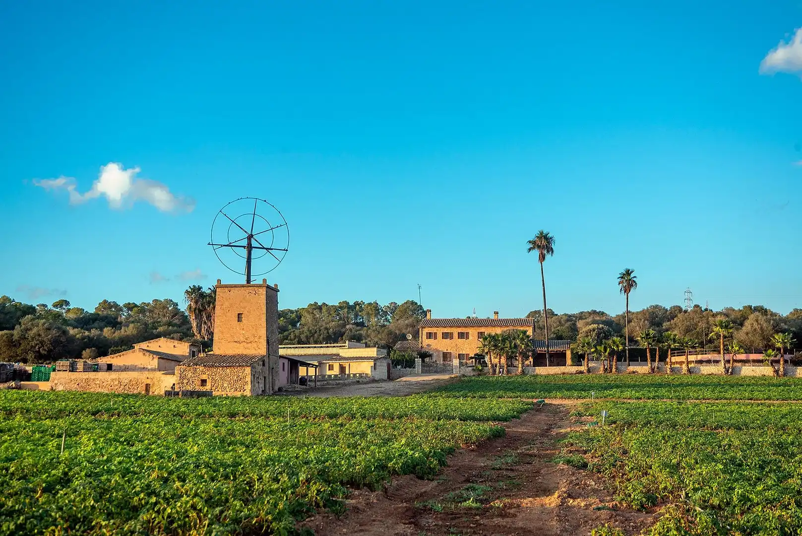 Vista exterior de Finca rústica en venta en  Palma de Mallorca con Calefacción, Jardín privado y Terraza