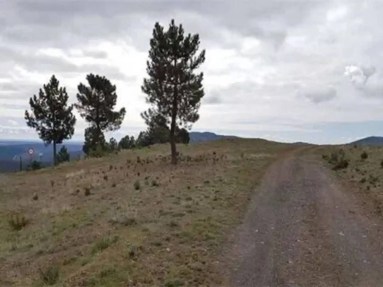Rural land for sale in Robledillo de la Jara, imagen 7