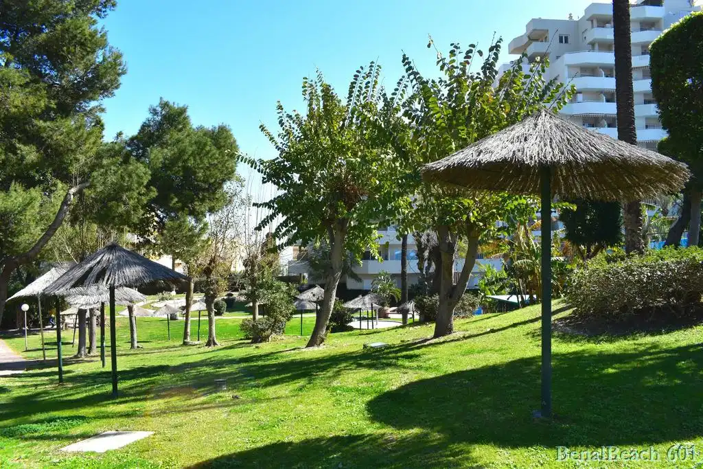 Vivienda con piscina en venta en Avenida del Parque 3, imagen 25