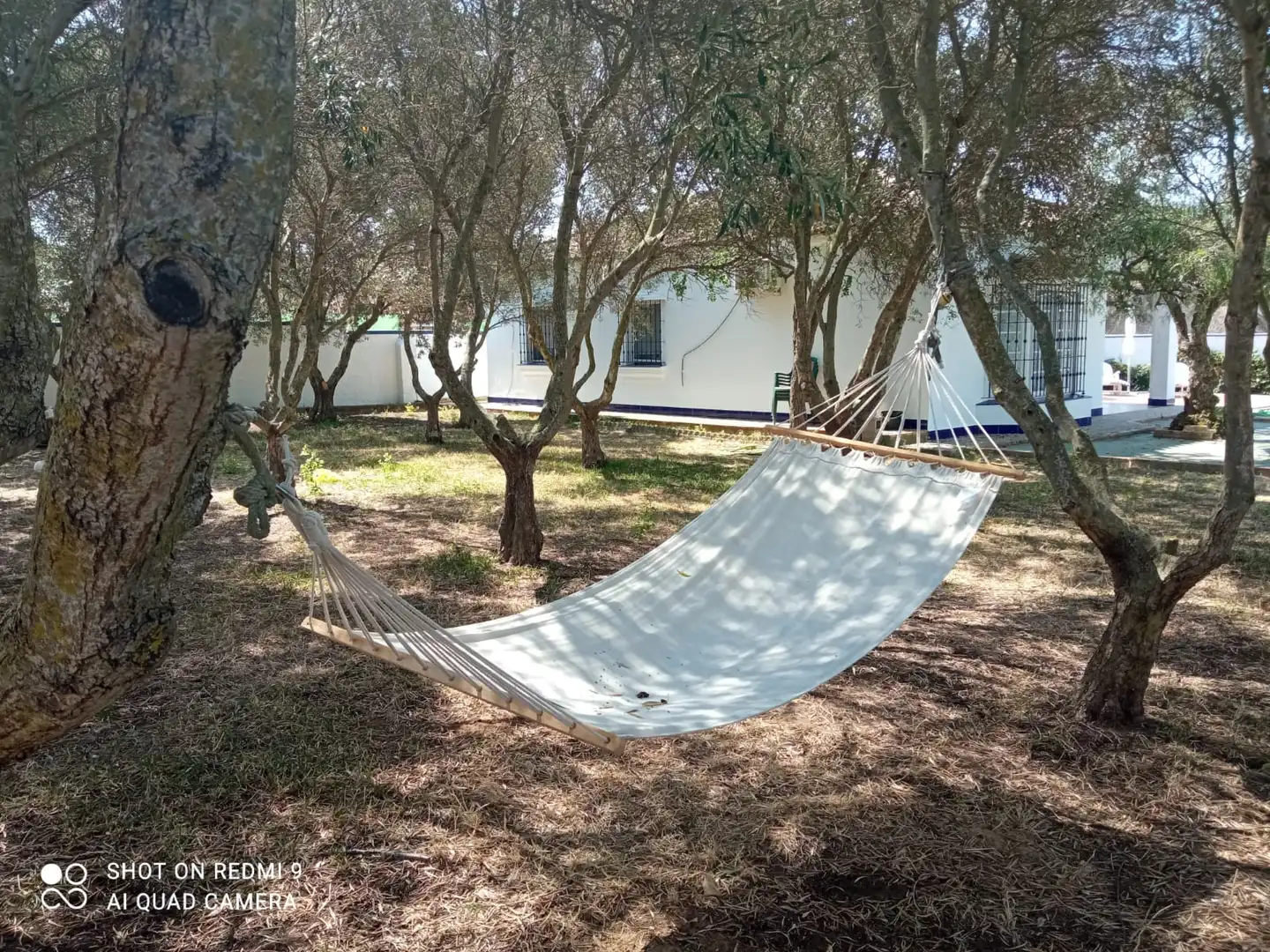 Houses for rent in Camino de Montealto, Las Lagunas - Campano