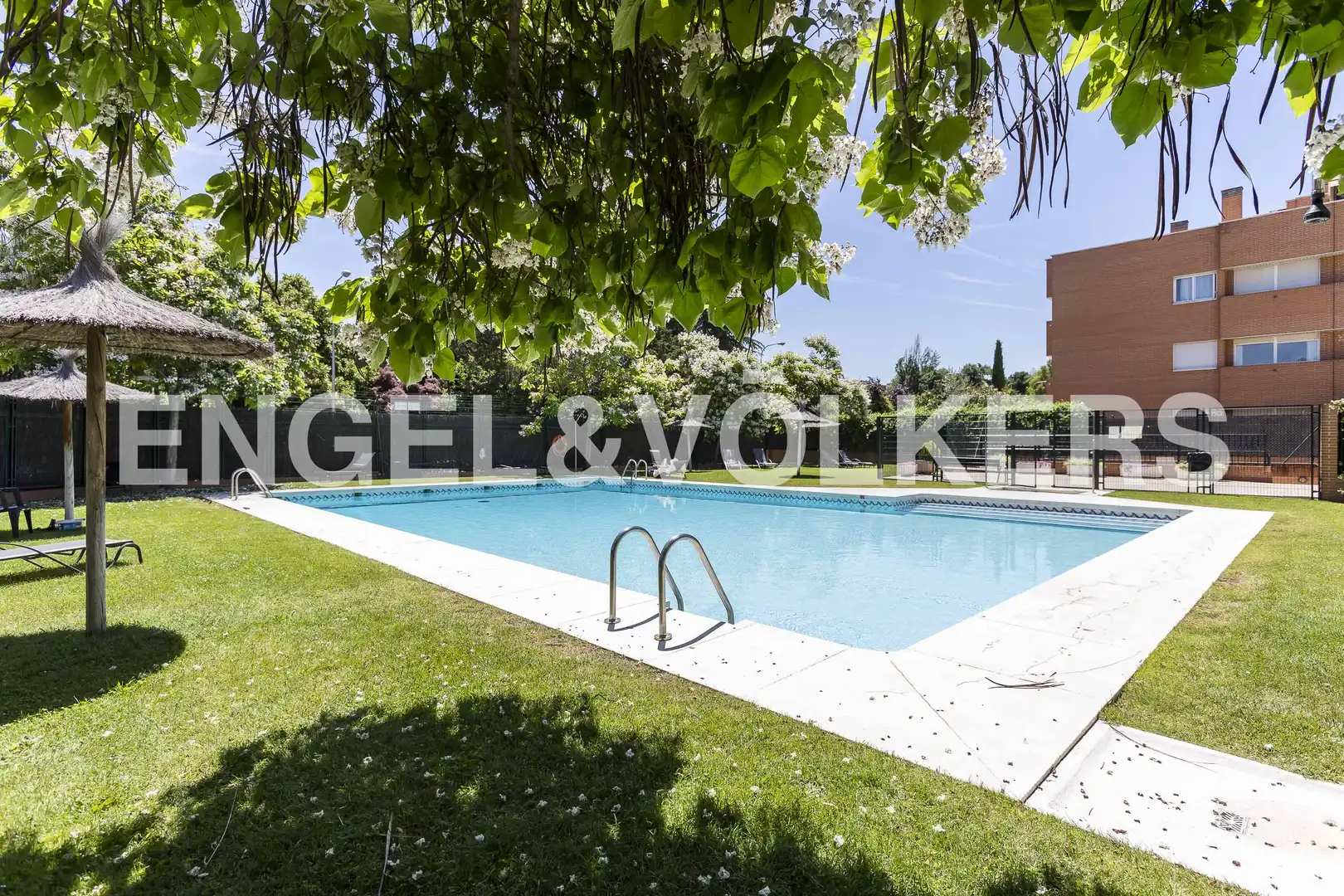Swimming pool of Flat for rent in Madrid  with Air Conditioner, Heating and Parquet flooring