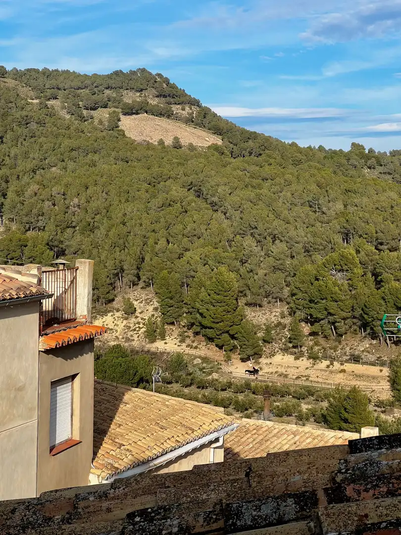 Vista exterior de Finca rústica en venta en Biar con Calefacción, Terraza y Trastero