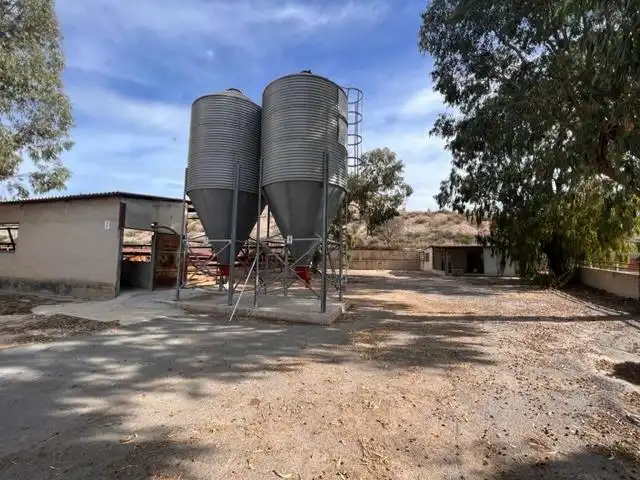 Vista exterior de Casa o xalet en venda en Alicante / Alacant amb Jardí privat