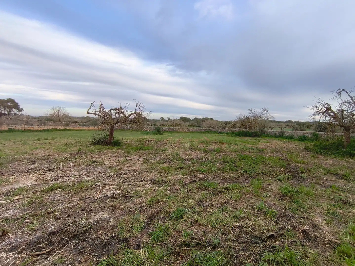 House with garden for sale in Algaida, imagen 25