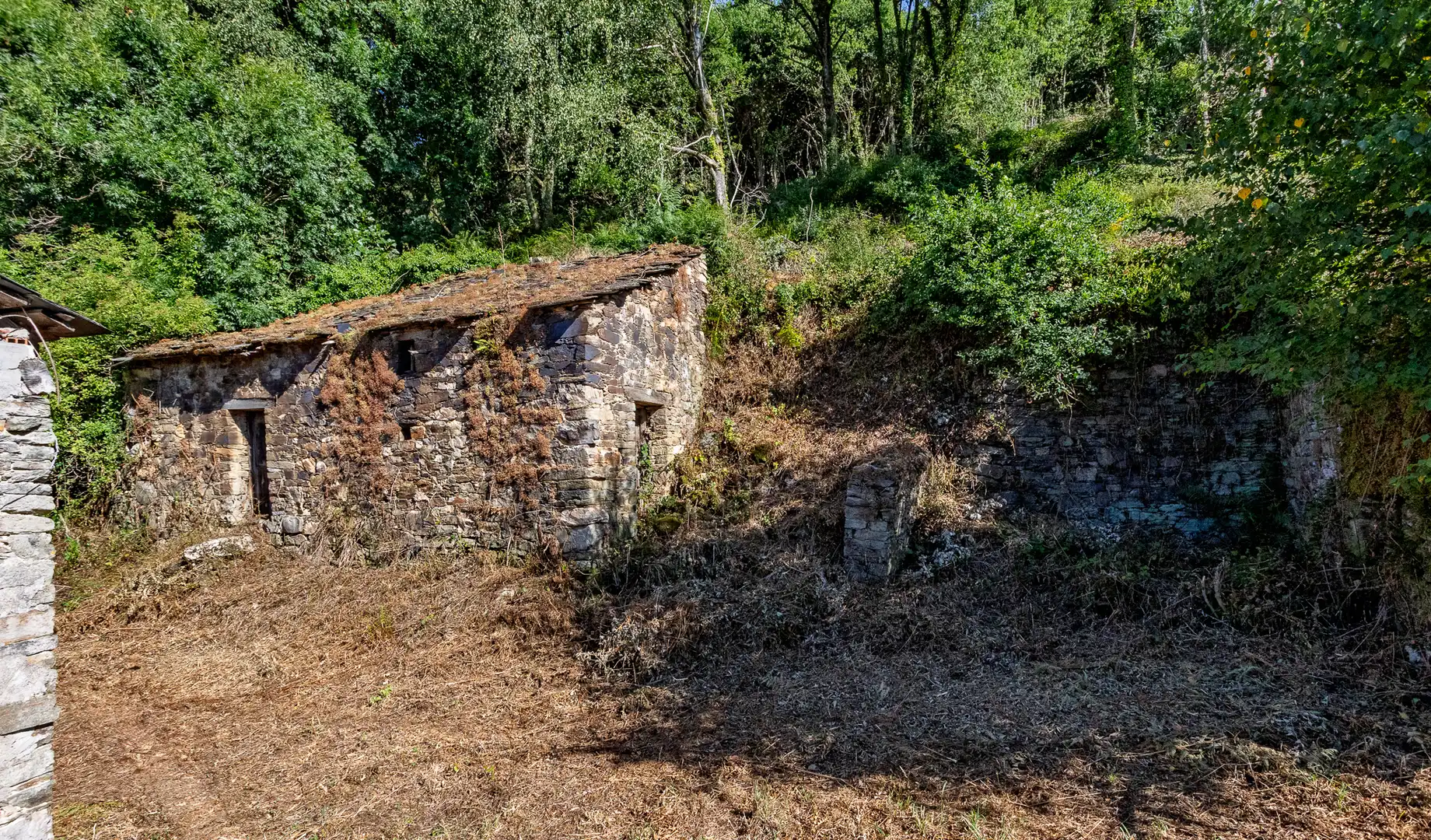Finca rústica en venda en Becerreá