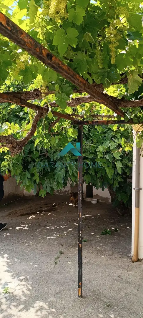 Maison à vendre à Rute, imagen 24