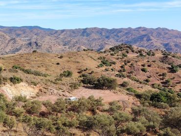 Terrain rustique à vendre à Camino de Casablanca 17