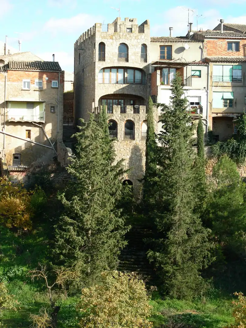 Exterior view of Houses for sale in Cervià de Les Garrigues  with Private garden, Terrace and Furnished