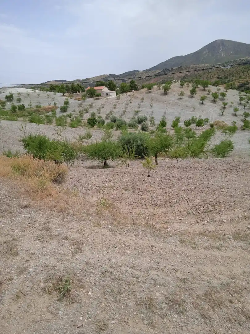 Casa o xalet en venda en Puerto Lumbreras amb Terrassa i Moblat