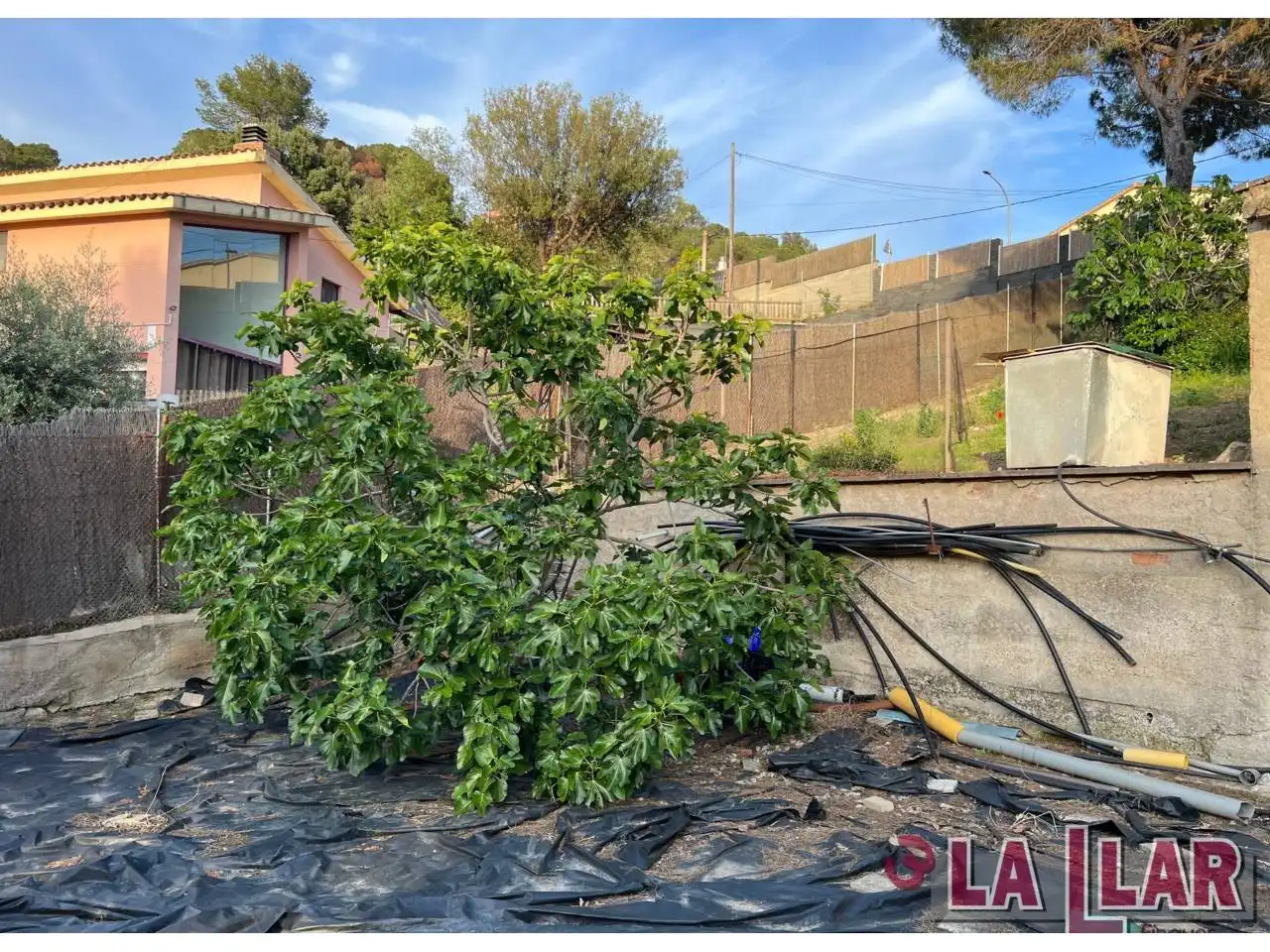 Terreno rustico in vendita a Vilanova del Vallès, imagen 8