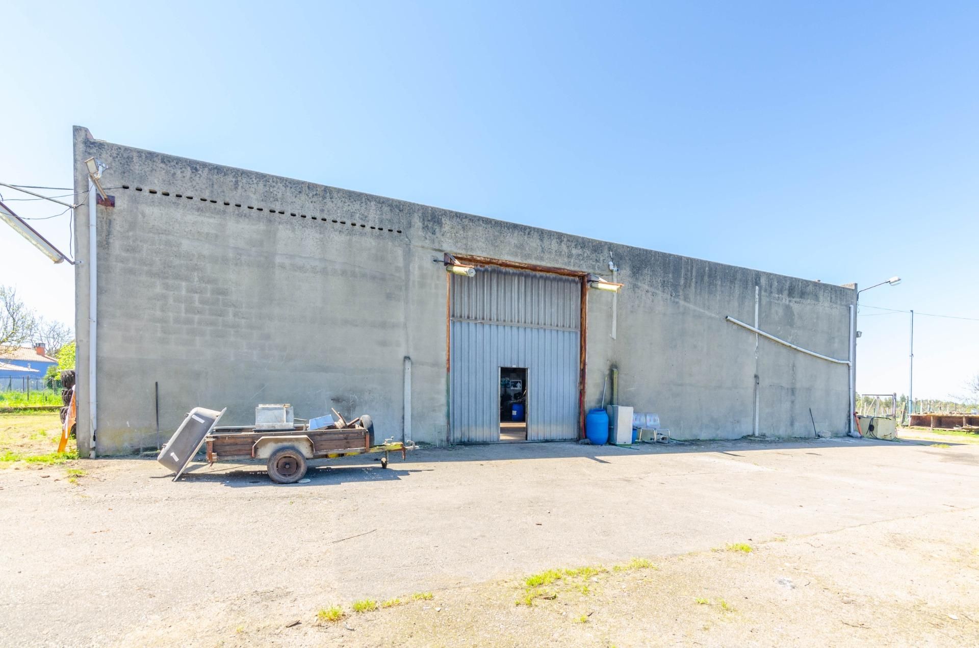 Exterior view of Industrial buildings for sale in Carreño