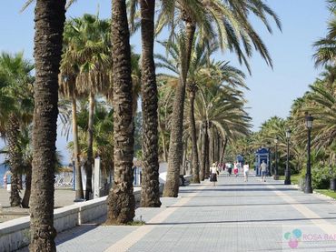 Terreni e lotti in vendita a San Pedro de Alcántara