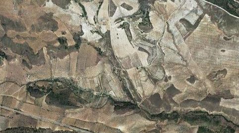 Paraje ARROTURAS Y BARRANCO DEL AGUA, Jódar, immagine 5