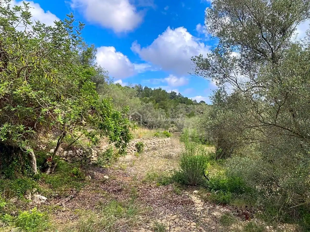 Terreno rustico in vendita a Malladetes, imagen 18