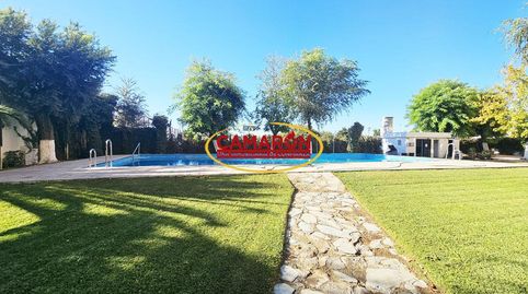 Foto 4 de Planta baixa en venda a Sta. Aurelia - Cantábrico - Atlàntico - La Romería, Sevilla Capital