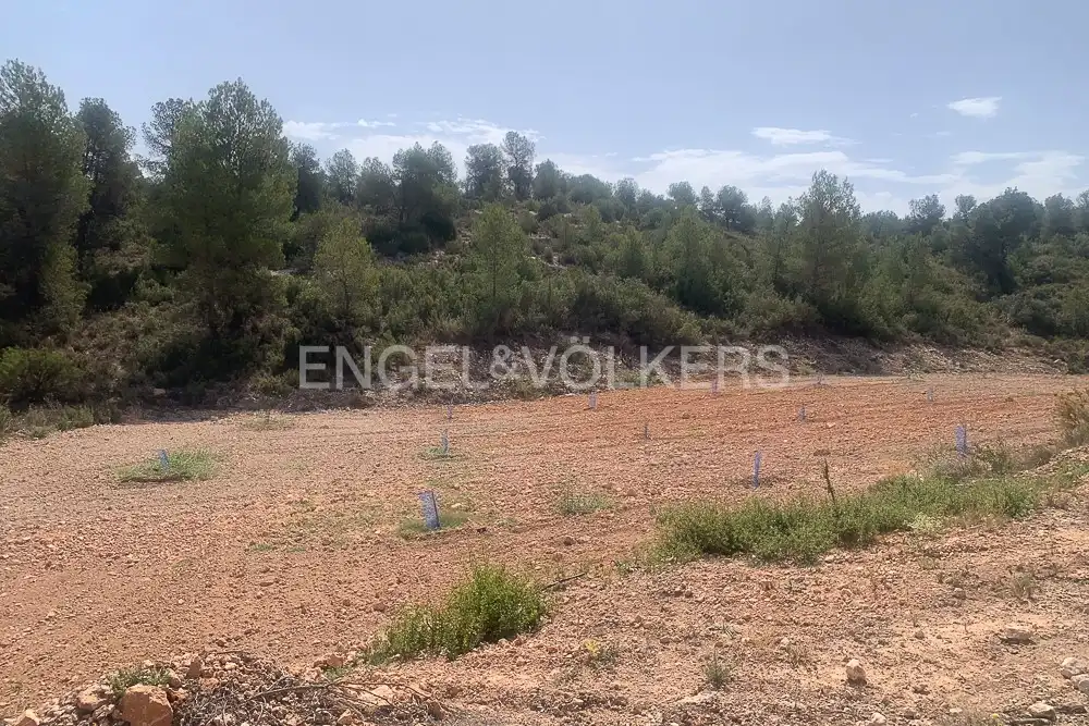 Lands and plots for sale in Requena, imagen 11