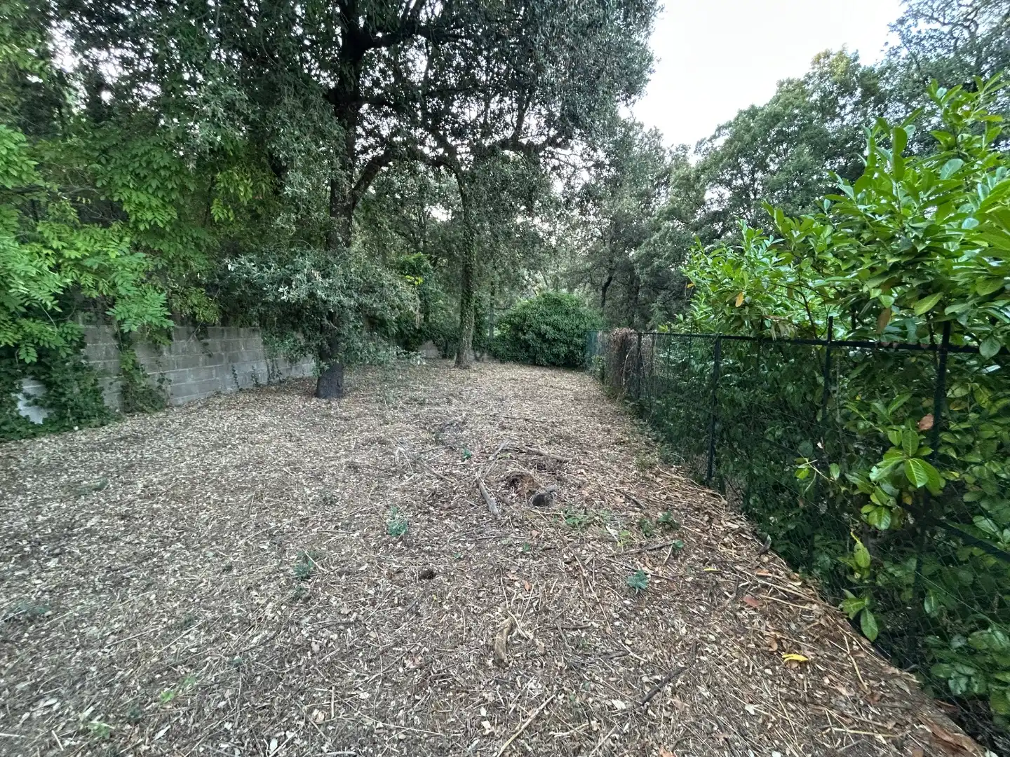 Terreno residencial en venta en Carrer Turó de Monfort 51, imagen 14