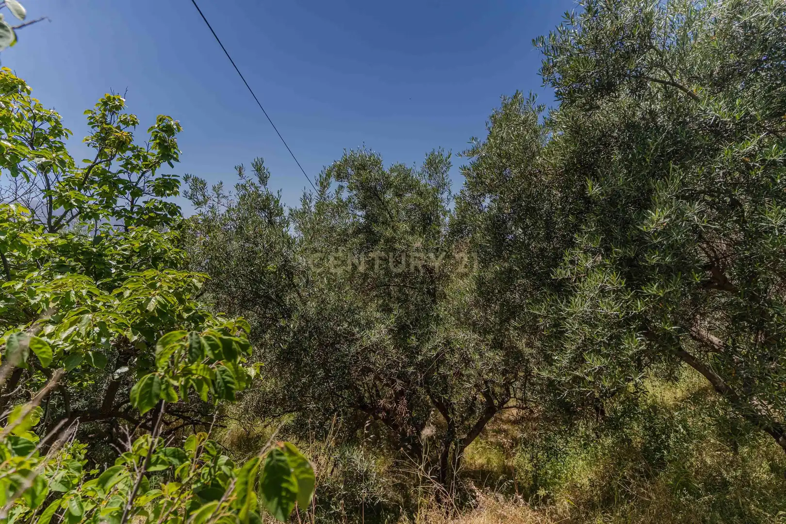 Finca rústica en venta en Carataunas con Jardín privado, Trastero y Piscina