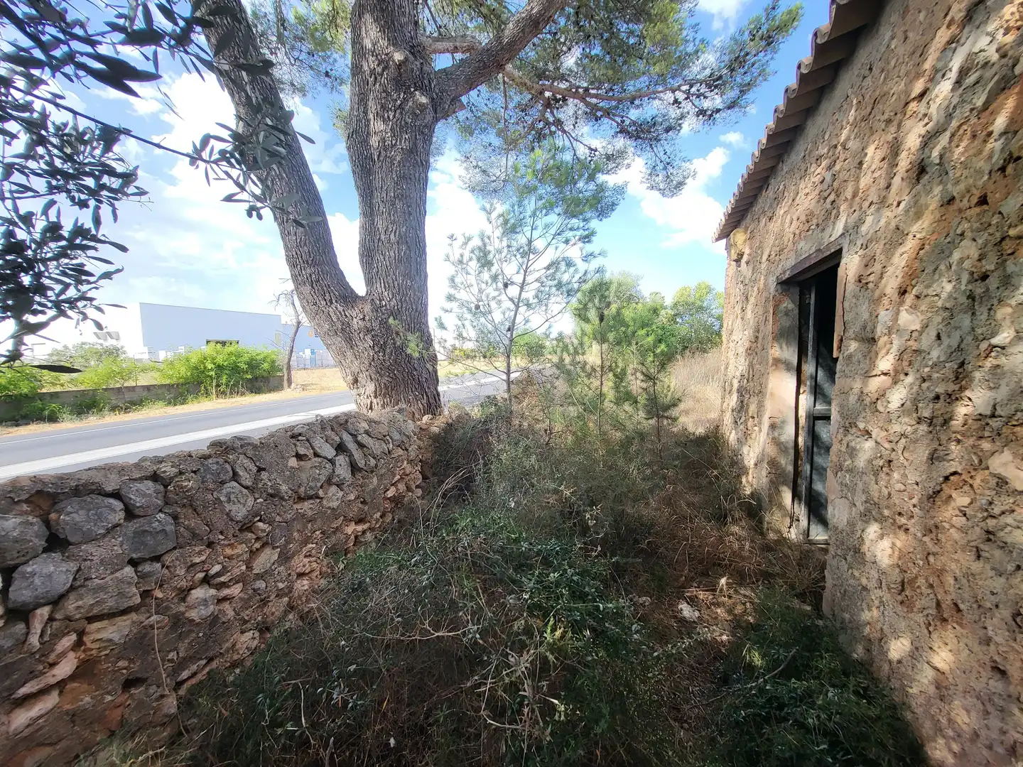 Terrain rustique à vendre à Polígono 2 Parcela 1, imagen 21