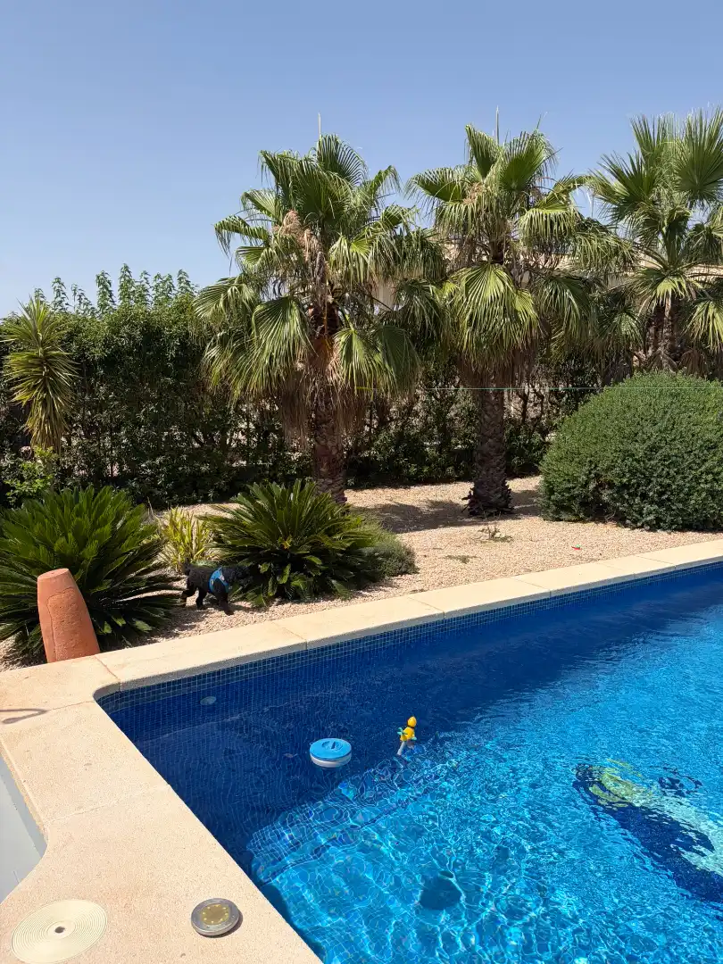 Piscina de Casa o chalet en venta en El Perelló con Aire acondicionado, Calefacción y Jardín privado