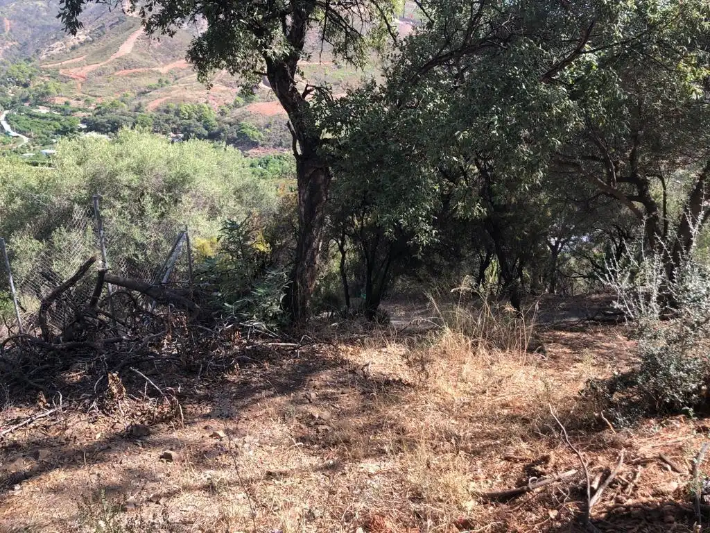 Terrain rustique à vendre à Loma pontezuela, imagen 7
