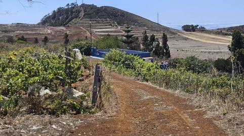 Foto 4 de Terreny de lloguer a Camino Ladera la Pintora, 1, La Esperanza - Llano del Moro, El Rosario