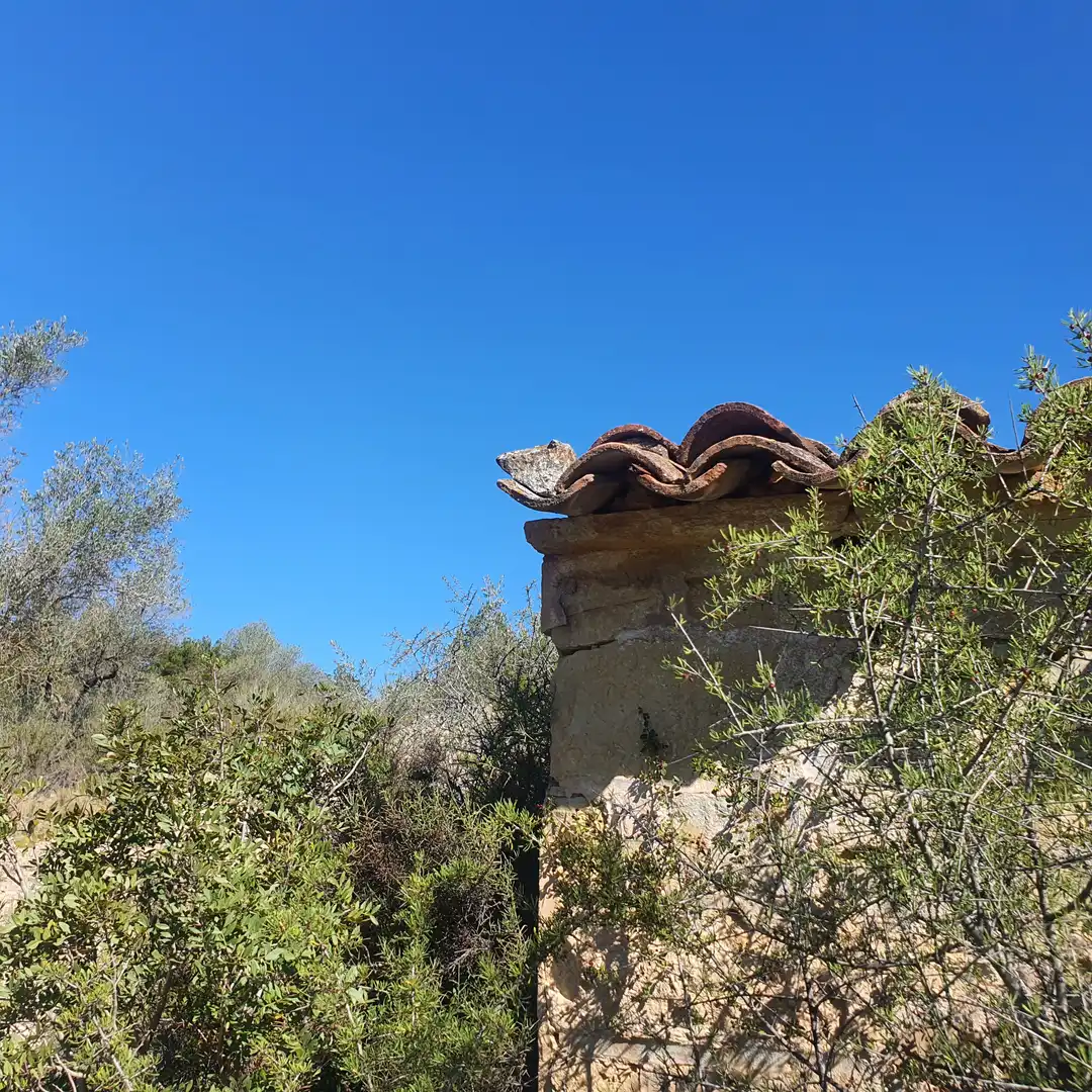 Rustikales Grundstück zum Verkauf in El Pinell de Brai, imagen 12