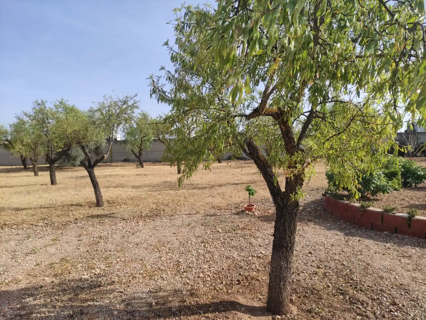Xalet amb piscina en venda a Miguelturra, imagen 84