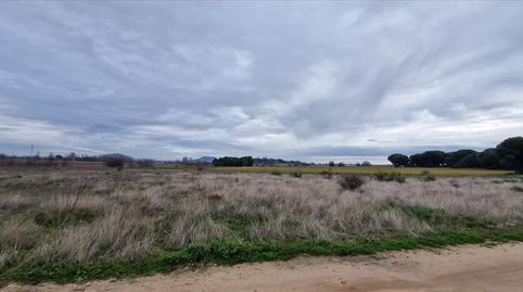 Foto 4 de Residencial en venta en 4 la Revilla, Laguna de Duero, Valladolid