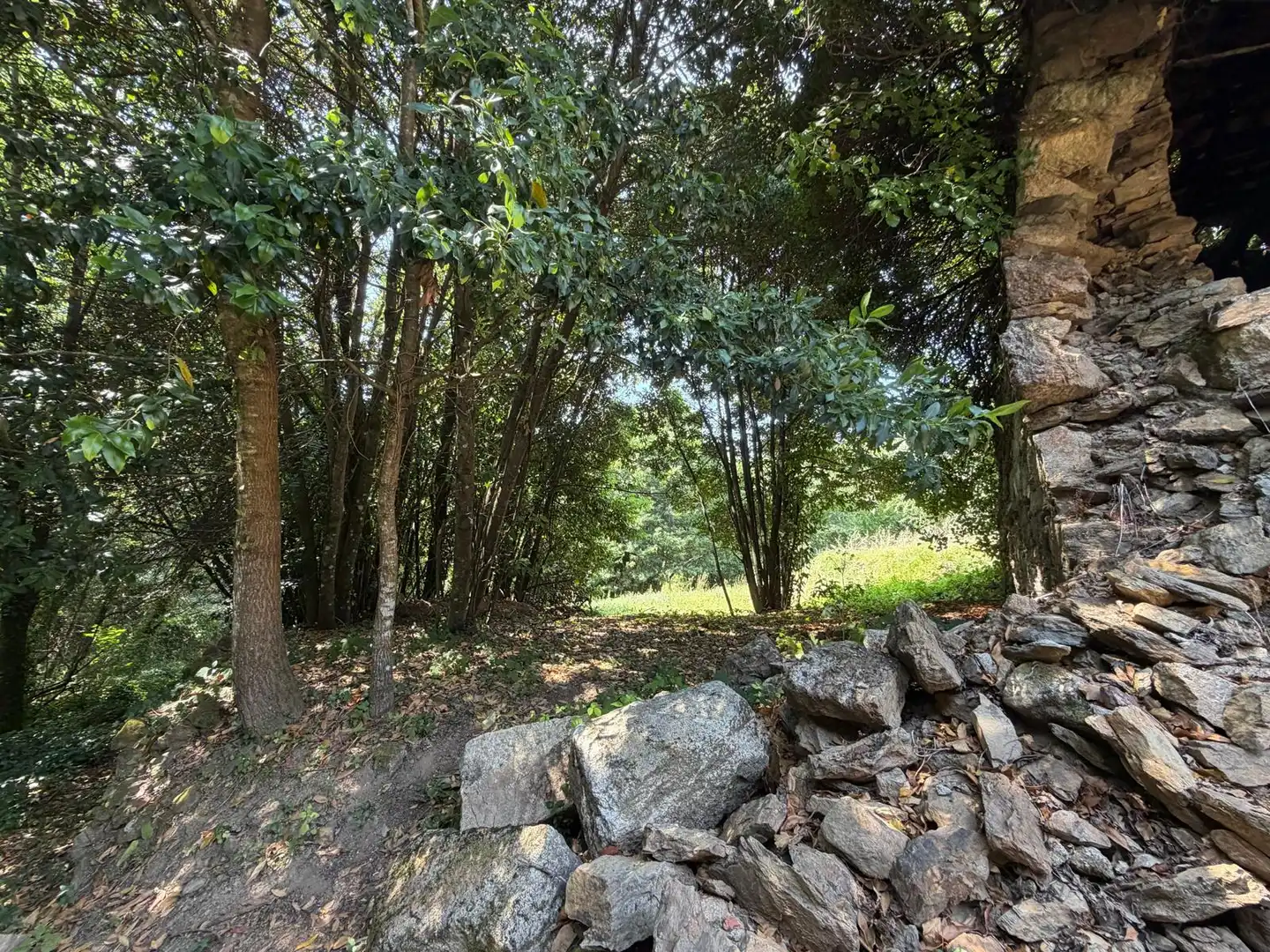 Finca rústica en venda en Gomesende amb Jardí privat, Terrassa i Traster