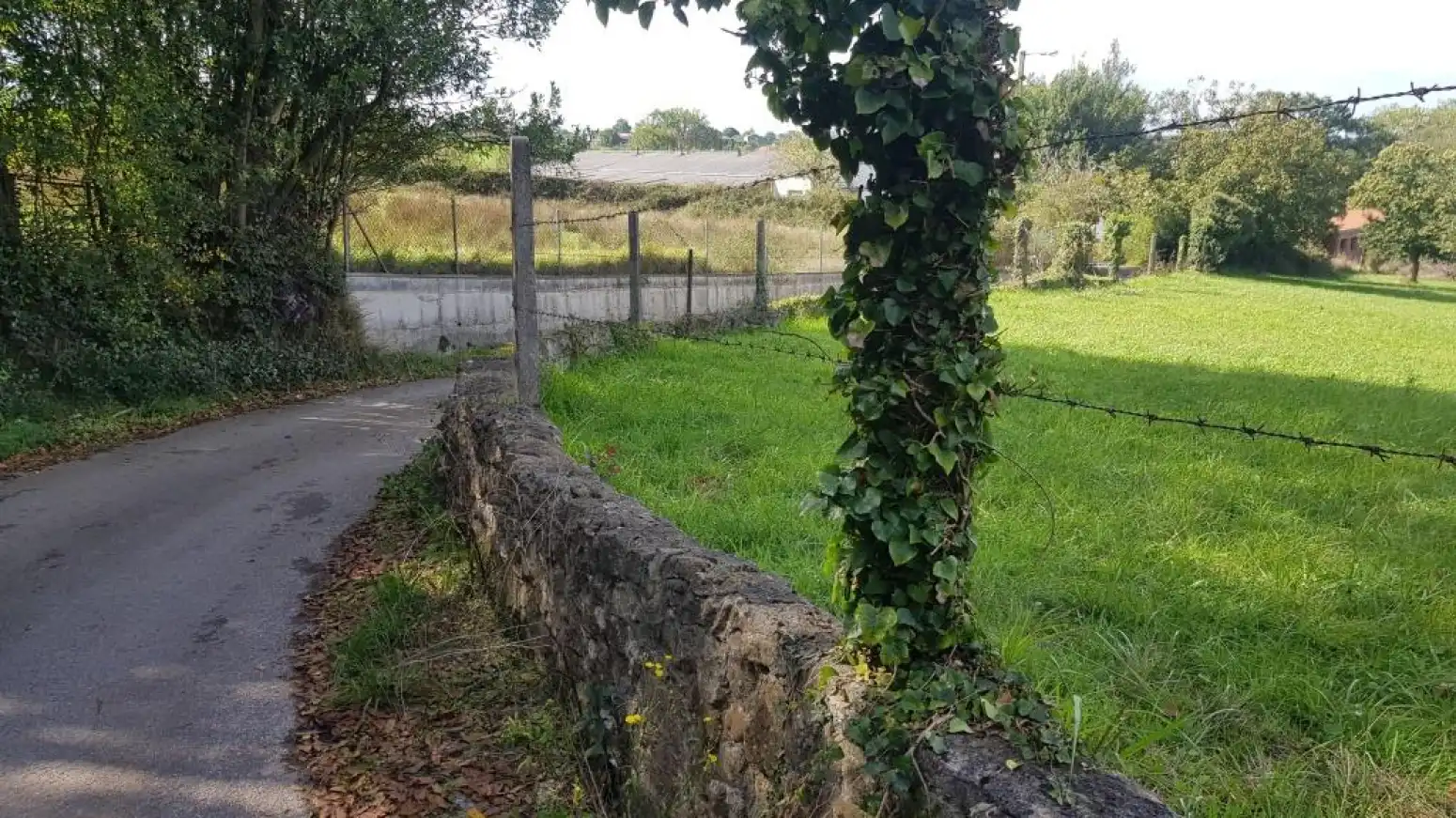 Residential land for sale in San Miguel - SAN MIGUEL DE LA BARRERA, imagen 7