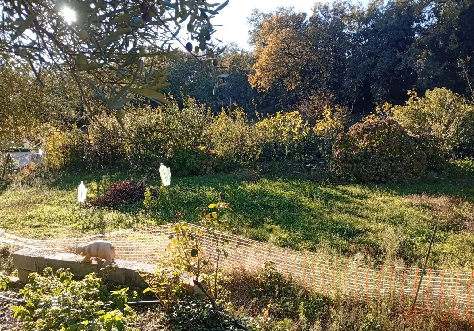 Terreni e lotti in vendita a Villanueva de la Vera, imagen 26