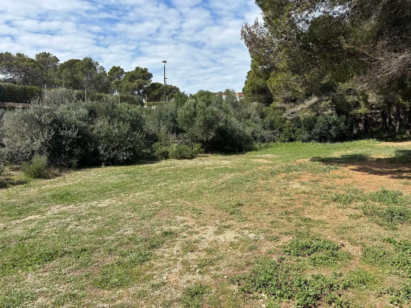 Terreno rustico in vendita a Calle Mimosa, imagen 18