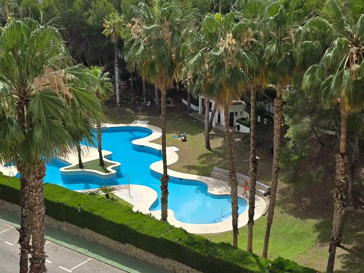 Swimming pool of Flat for sale in Orihuela Costa