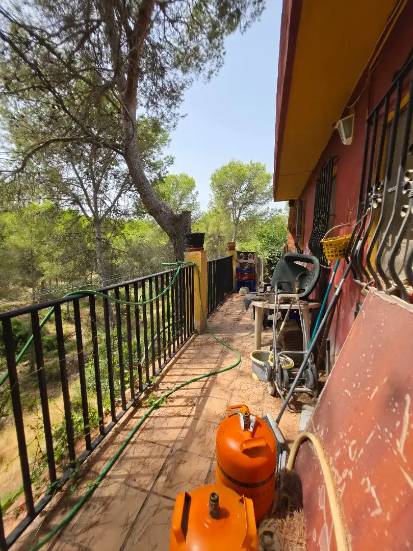 Jardín de Casa o chalet en venta en Sagunto / Sagunt con Jardín privado y Piscina