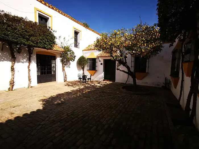 Exterior view of Country homes for sale in Alcalá de Guadaira  with Air Conditioner, Heating and Private garden